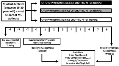 Effects of creatine monohydrate timing on resistance training adaptations and body composition after 8 weeks in male and female collegiate athletes